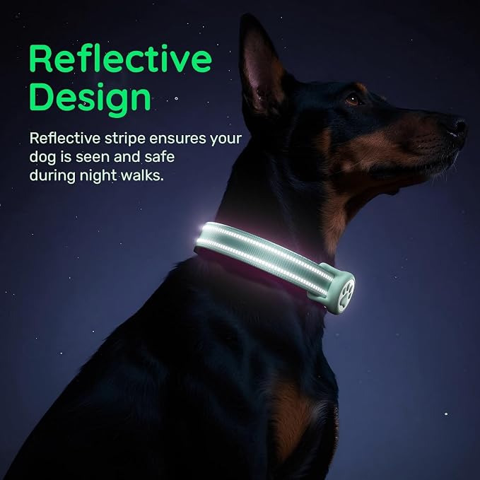 Premium Airtag Dog Collar，with IP68 Waterproof AirTag Holder,Green,XL | Soft,Breathable,Nylon Padded,Reflective,Ultra-Durable Buckle,Adjustable,Comfortable for Small Medium Large Dogs