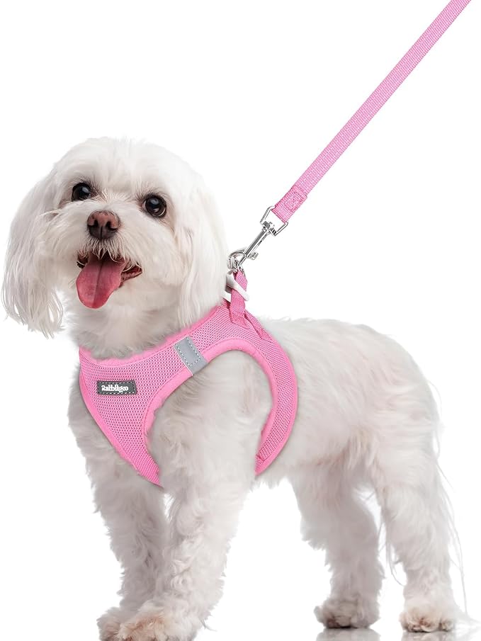 rabbitgoo Dog Harness Small Sized and Leash Set, Step-in Puppy Pet Vest | Light, Soft, Breathable Air Mesh, Easy on and Remove with Hook & Loop, Secure Reflective for Walking, Light Pink M