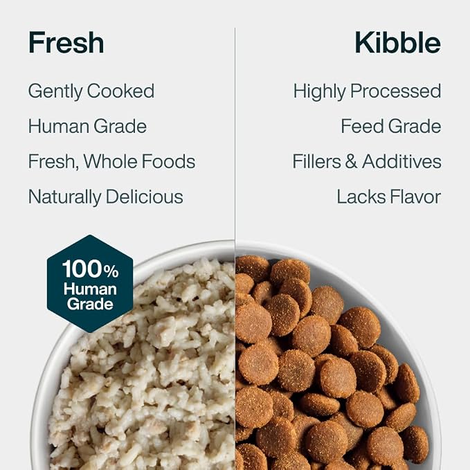 JustFoodForDogs Pantry Fresh Wet Dog Food, Complete Meal or Dog Food Topper, for Sensitive Stomachs, Balanced Remedy Human Grade Dog Food Recipe - 12.5 oz (Pack of 12) | Fresh Pet Meal or Dog Food Toppers for Sensitive Stomach, Human Grade, Preservativ...