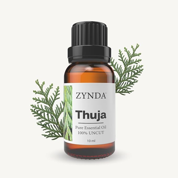 Thuja Essential Oil – 100% Pure & Natural Aromatherapy Essential Oil – Organic Thuja Oil for Skin & Body – Therapeutic Grade, Uncut, Steam Distilled Pure Essential Oils – 10ml