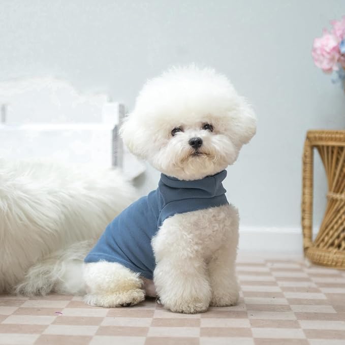 Cat Sweater Warm Fleece Pet Clothes for Cats Only | Soft Cat Vest Puppy Hoodie Coat, Fall Cold Winter Sweatshirt Pullover Clothing also for Small Dogs, Blue L