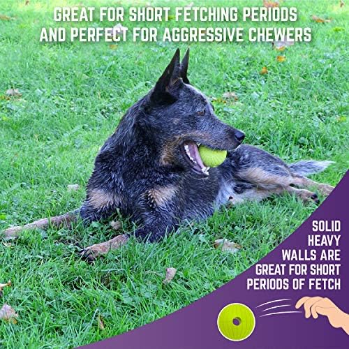 Chew King Supreme Rubber Fetch Balls - Extremely Durable Natural Rubber Toy, 2.5 inch, Yellow (CM-10066-CS01)