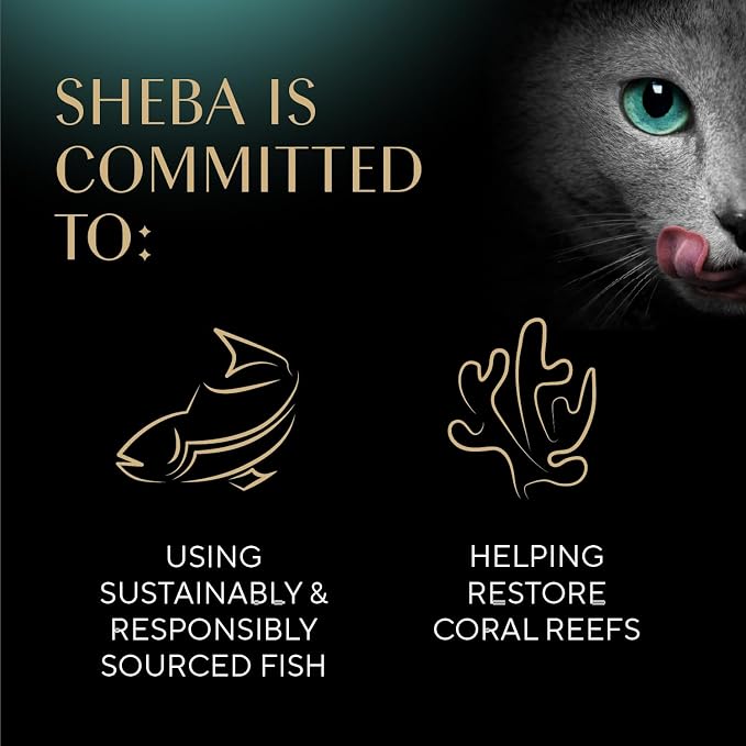 Sheba Perfect Portions Pate Wet Cat Food, Multipack, 2.6 oz, 24 ct | Grain-free, Chicken, Turkey & Beef, 48 servings, no artificial flavors/preservatives, complete & balanced, twin-pack trays