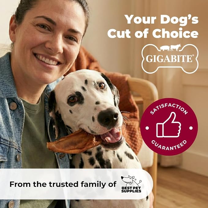 Best Pet Supplies GigaBite Half Cut Pig Ears for Dogs - 40 Count | Single Ingredient, All Natural, Supports Dental Health, Perfect for Training, Slow Roasted Chews