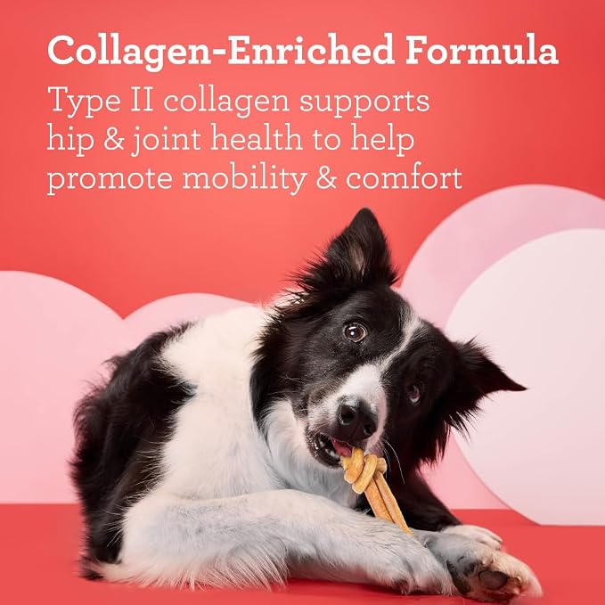 DreamBone CollaYUMS Knots Plus Collagen Chews for Dogs, 8 Count, Treat Your Dog to Rawhide-Free Chews Made with Chicken, Vegetables and Peanut Butter (Pack of 2)