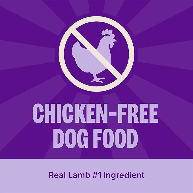 Wellness Simple Limited Ingredient Diet Adult Dry Dog Food, Wholesome Grain Kibble, Sensitive Stomach, Skin & Coat Support, Natural, Chicken Free, Lamb and Oatmeal Recipe, 40 lb Bag