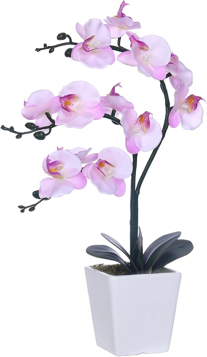 15" Silk Phalaenopsis Orchid in Square Pot, Pink Shades Flower Arrangements | Lifelike Faux Potted Blooms with Moss in a Ceramic Planter. Looks Real, Zero Upkeep, Ideal Centerpiece for Any Table