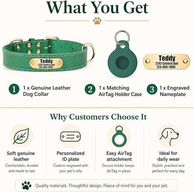 Personalized Genuine Leather Dog Collar with Name Phone Number-Bluegreen-M