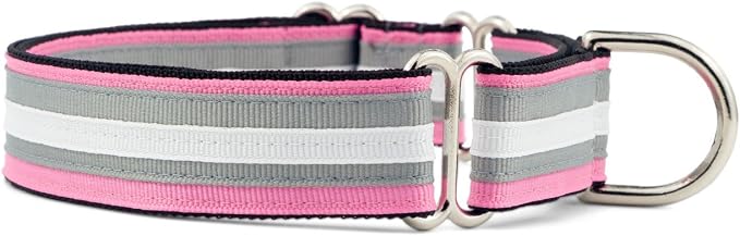 If It Barks 1" Martingale Collar for Dogs, Adjustable Nylon, USA Made, Small, Spunky