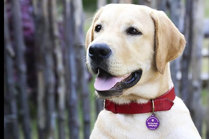 Dynotag® Web Enabled Super Pet ID Smart Tag. Deluxe Coated Steel, with DynoIQ™ & Lifetime Recovery Service. Fun Series (Purple: Have Your People Call My People)