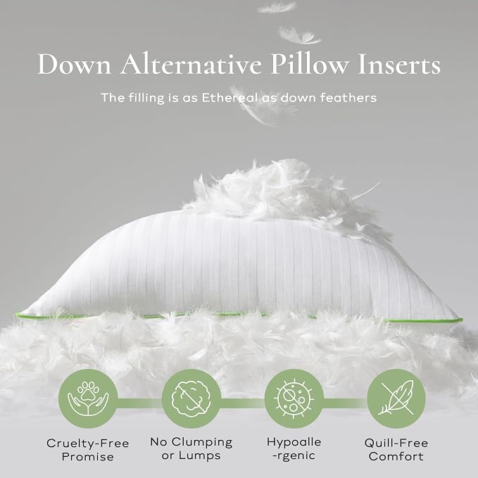 Ashler Home Deco Synthetic Down Pillow Inserts, 22x22 Down Alternative Throw Pillows Insert Sleeping Pillows with 100% Cotton Cover Decorative Pillow Stuffer for Sofa, Couch Bed(Set of 2, White)