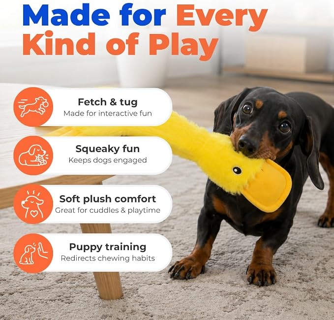 Best Pet Supplies Interactive Squeaky Dog Toy - Crinkle Duck, Yellow | Stuffing Free Body, Soft, Squeaks & Crinkles, No Mess, Perfect for Moderate Chewers, Toss and Fetch Play