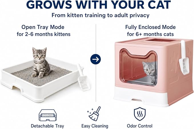 Medario Cat Litter Box with Litter Mat and Scoop(Pink) | Large Covered Litter Box with Lid, Enclosed Kitty Box, Front Entry Top Exit, Odor Control, Easy to Clean