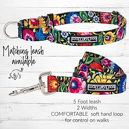 Lucky Love Dog Martingale Collar for Small Dogs No Slip – Blackbird, Small