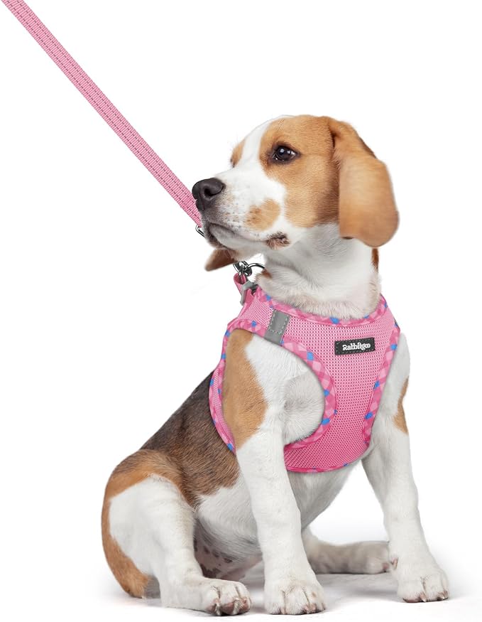 rabbitgoo Dog Harness Medium Sized and Leash Set, Step-in Puppy Pet Vest | Light, Soft, Breathable Air Mesh, Easy on and Remove with Hook & Loop, Secure Reflective for Walking, Pink & Plaid Trim L