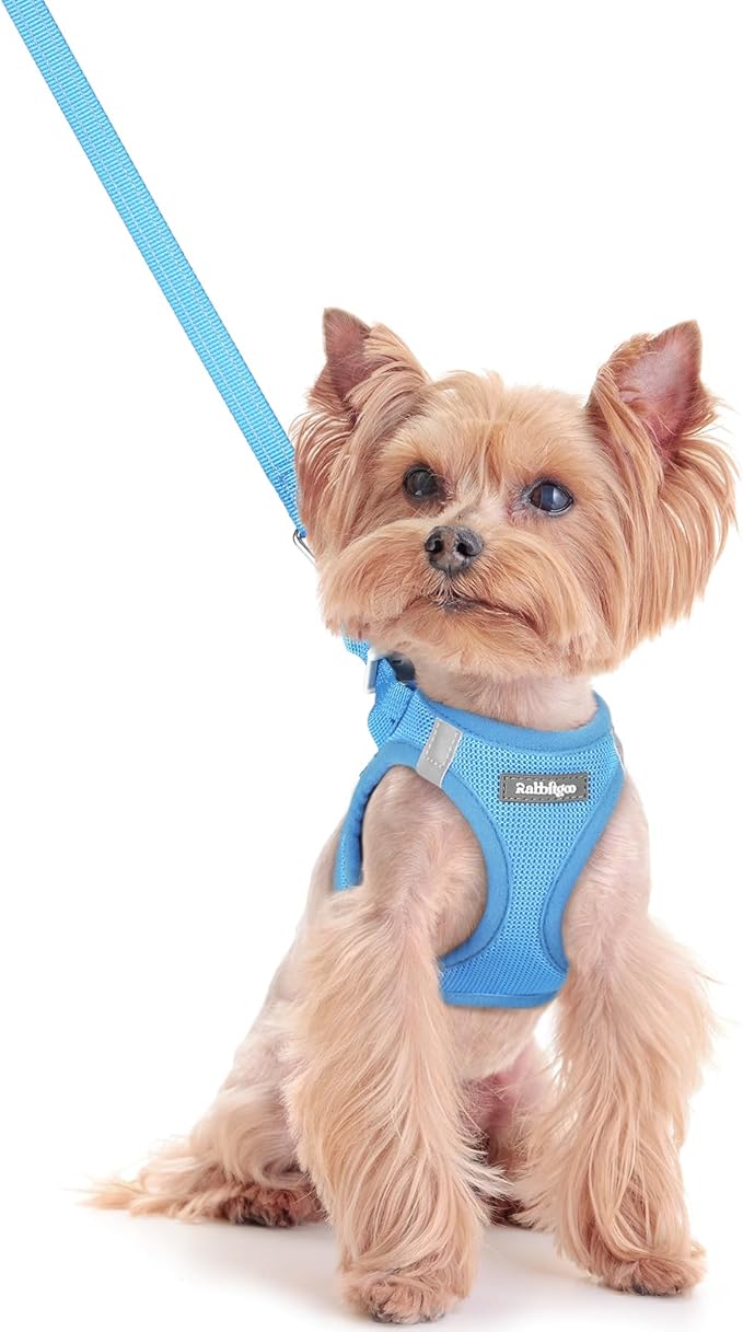 rabbitgoo Dog Harness Small Sized and Leash Set, Step-in Puppy Pet Vest | Light, Soft, Breathable Air Mesh, Easy on and Remove with Hook & Loop, Secure Reflective for Walking, Blue XXS