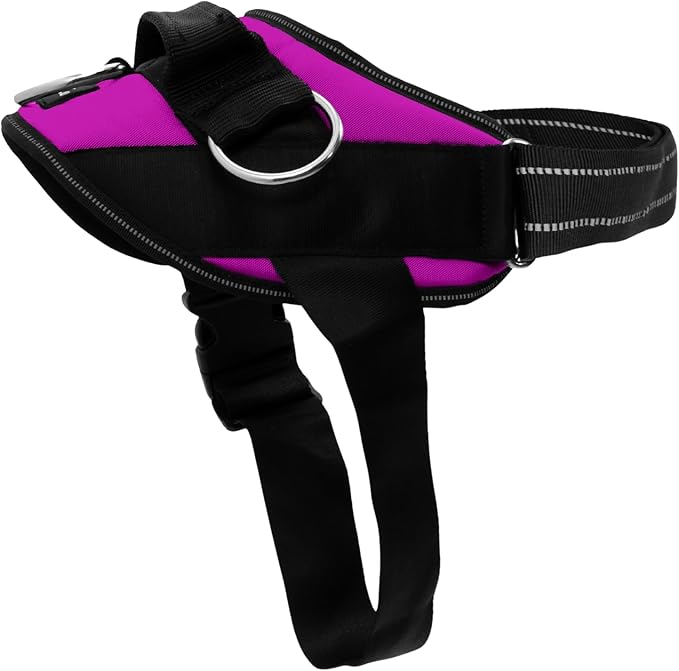 ShawnCo Essential Dog Harness, No-Pull Pet Vest (Orchid,S) | 3 Leash Clips, Easy On, No-Choke, Reflective, Adjustable Fit, Padded Comfort, Control Handle, For Small, Medium & Large Dogs