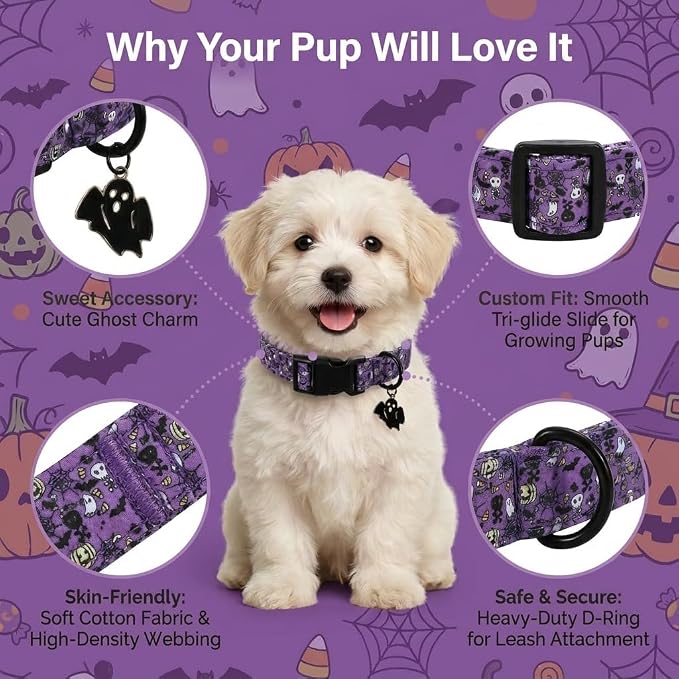 Halloween Dog Collar, Purple Puppy Collar for Small Dogs, S