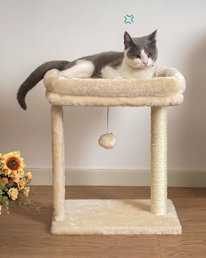 SYANDLVY Small Cat Tree for Indoor Cats, Scratching Board with Perch | Scratching Post for Small Cats, Kittens Scratcher with 2 Dangling Balls, Beige