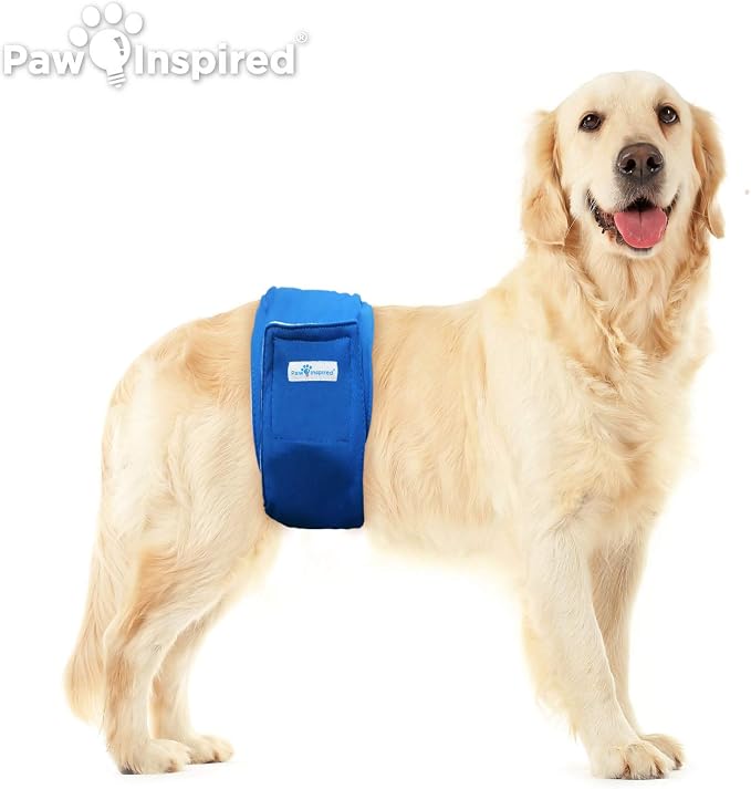 Paw Inspired Washable Male Dog Wraps, Assorted, Black Lining, XL, 2 Pack | Extra Large Size, Blue/Green Colors, Reusable Cloth Belly Bands for Potty Training, Marking, Incontinence, Travel