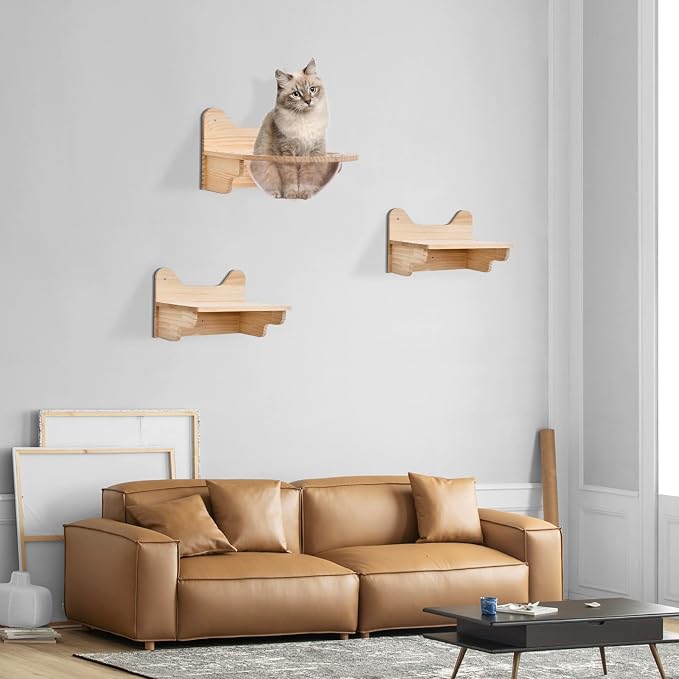 Space Capsule Style Transparent Cover Cat Bed, Wall Mounted Cats Shelf House, Small Pets Bed Toy Furniture for Living Room Pet Room, Load of 44 Lbs (Space Capsule+ 2 Jumping Platforms)