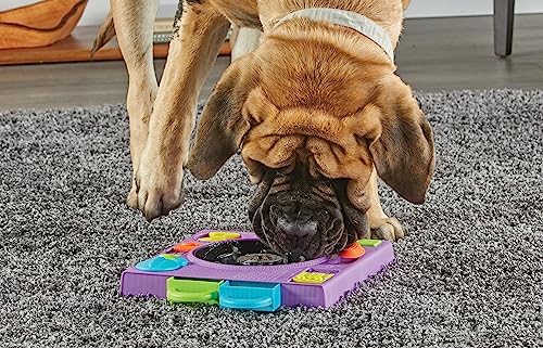 Learning Resources Brightkins DJ Doggo Puzzle Feeder - Slow Feeder Dog Bowls, Puzzle Toys for Dogs, Slow Eating Dog Bowl, Large Puppy Bowls, Treat Puzzles Feeders for Cat and Dogs, Puppy Food Bowl
