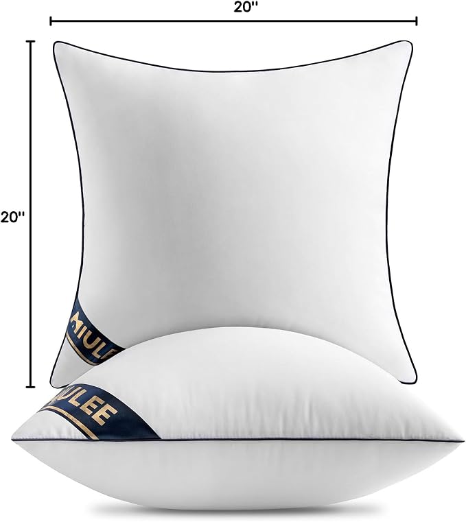 MIULEE 20x20 Pillow Inserts 2 Pack, Premium Down Alternative Throw Pillows | Down Alternative Pillow Inserts, Decorative Pillow Stuffer for Sofa, Couch (20x20 inch, Set of 2)