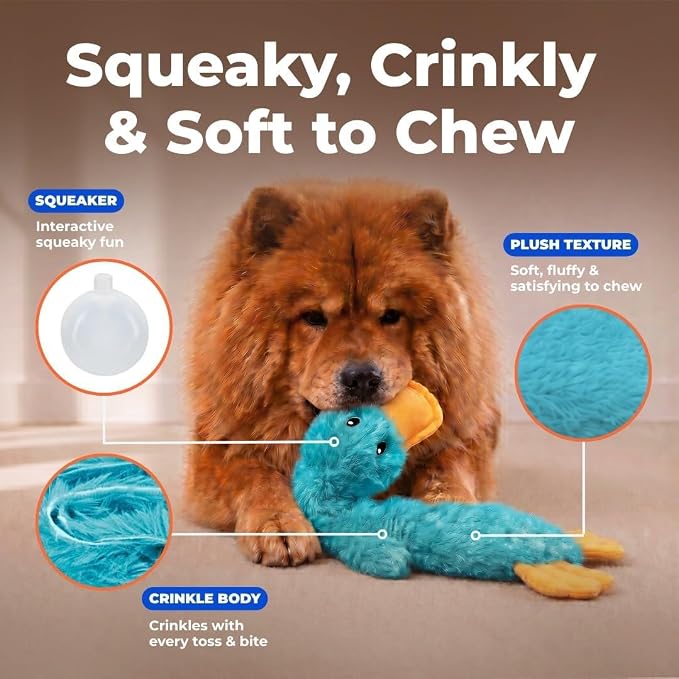 Best Pet Supplies 2-in-1 Stuffless Squeaky Dog Toy - Pack of 4, Medium