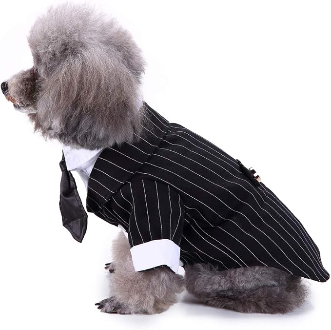 GabeFish Pets Wedding Jackets Suit for Dogs with Bow Tie Puppy Cat Formal Clothes Shirt Tuxedo (Striped, S (Chest 12.9in/33cm)
