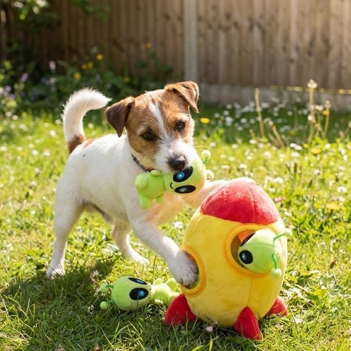 MODERN WAVE - Interactive Squeaky Plush Hide and Seek Squirrel Type Puzzle Toy for Dogs, Small Size (Spaceship and Aliens)