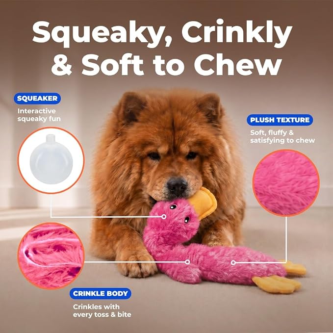 Best Pet Supplies Interactive Squeaky Dog Toy - Crinkle Duck, Pink | Stuffing Free Body, Soft, Squeaks & Crinkles, No Mess, Perfect for Moderate Chewers, Toss and Fetch Play
