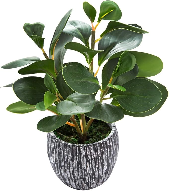 AlphaAcc Fake Faux Fiddle Leaf Fig Cement Planter Housewarming Desk Decor | Real looking and touching evergreen fiddle leaf fig with black cement planter ideal housewarming office desk home decor