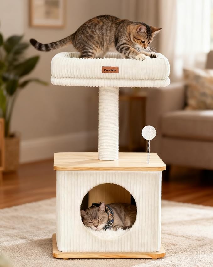 Small Cat Tree for Indoor Kittens, 30" Compact Modern Cat Tower | Natural Bamboo Cozy Condo, Soft Padded Perch, Sisal Scratching Post, Dangling Ball Toy, Stable Base, for Cats up to 15 lbs