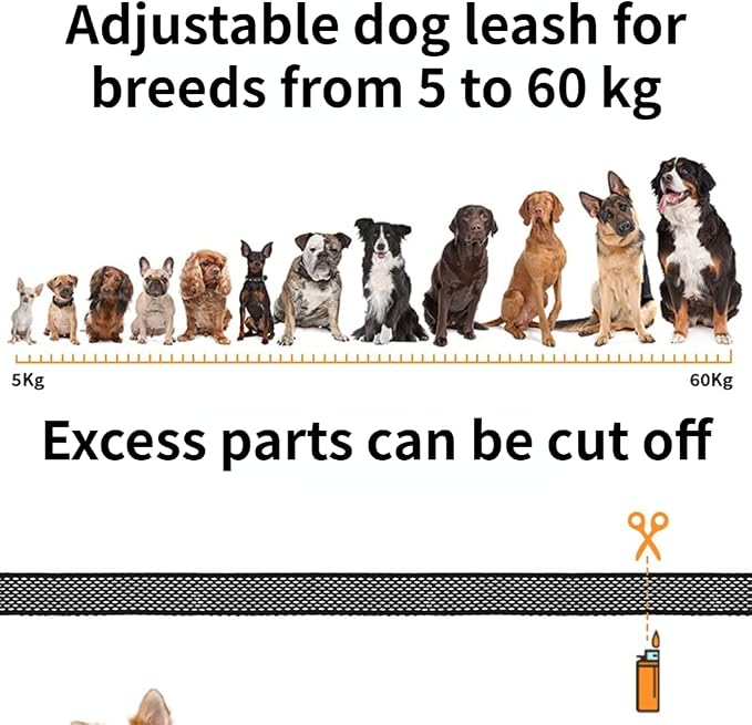 Dog Bark Collar,Rechargeable Smart Barking Collar, Anti Barking Training Collar with Sensitivity Beep Vibration Shock, Bark Shock Collar for Large Medium Small Dogs