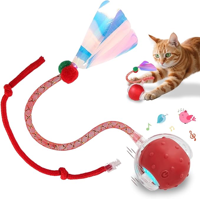 Interactive Cat Toys Smart Ball for Cats & Dogs! Now with 2 Rapid Tails. Features: 360°Auto-Rolling, Motion Activation& Bird Sounds. Perfect for Indoor Pet Exercise & Fun. (Red1)