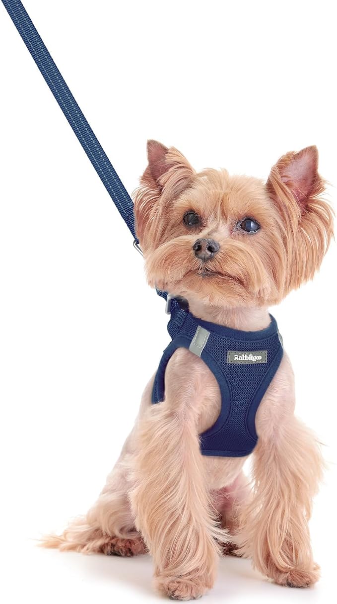 rabbitgoo Dog Harness Small Sized and Leash Set, Step-in Puppy Pet Vest | Light, Soft, Breathable Air Mesh, Easy on and Remove with Hook & Loop, Secure Reflective for Walking, Navy Blue XXS