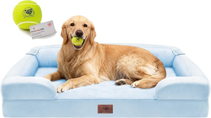 Waterproof Orthopedic Dog Bed for Extra Large Sized Dogs | Memory Foam Pet Bed Sofa with Bolster, Dog Couch with Washable Cover & Non-Slip Bottom, 42x30 Inch, Light Blue