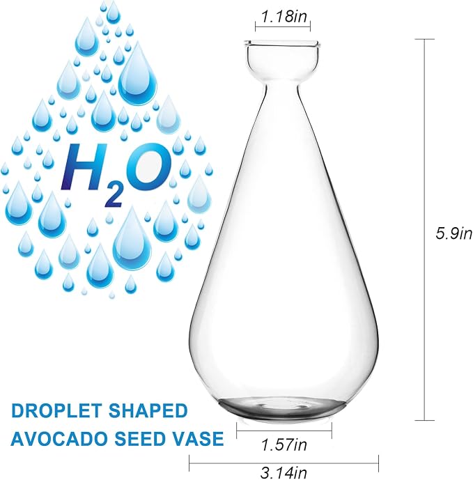 Acorn Seed Vase Droplet Shaped Clear Glass Oak Sprout Vase Seed Starter Planter Pot Gartely Acorn Tree Starter Growing Kit Propagation Vases Grow Acorn Trees at Home Gardening Lover Gifts