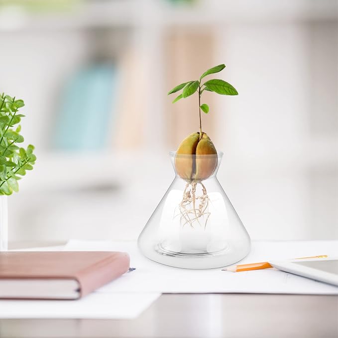 1 PCS Avocado Seed Starter Vases, Pit Planter Pot Avocado Tree Growing Kit Acorn Bulb Vase Grow Glass Blue Hydroponics Container for Gardening Lover