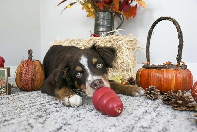 KONG Easy Treat Pumpkin Dog Paste 3-Pack – Mess-Free Stuffing Treat