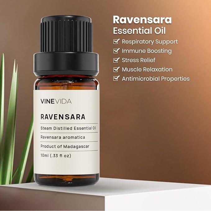 VINEVIDA Ravensara Essential Oil - Undiluted Ravensara Candle Oil Scent - DIY Candle Scents for Candlemaking
