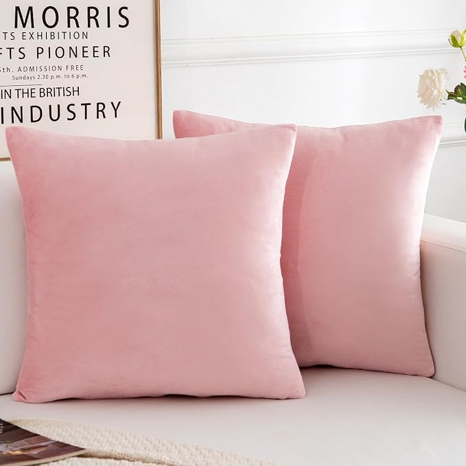 Velvet Decorative Throw Pillow Covers, Soft Square Cushion Case Home Decor for Living Room Couch Bed Sofa, Set of 2 Pack, Pink, 20x20 Inch