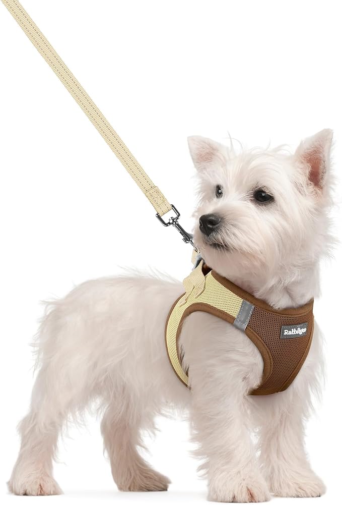 rabbitgoo Dog Harness Small Sized and Leash Set, Step-in Puppy Pet Vest | Light, Soft, Breathable Air Mesh, Easy on and Remove with Hook & Loop, Secure Reflective for Walking, Brown & Beige S