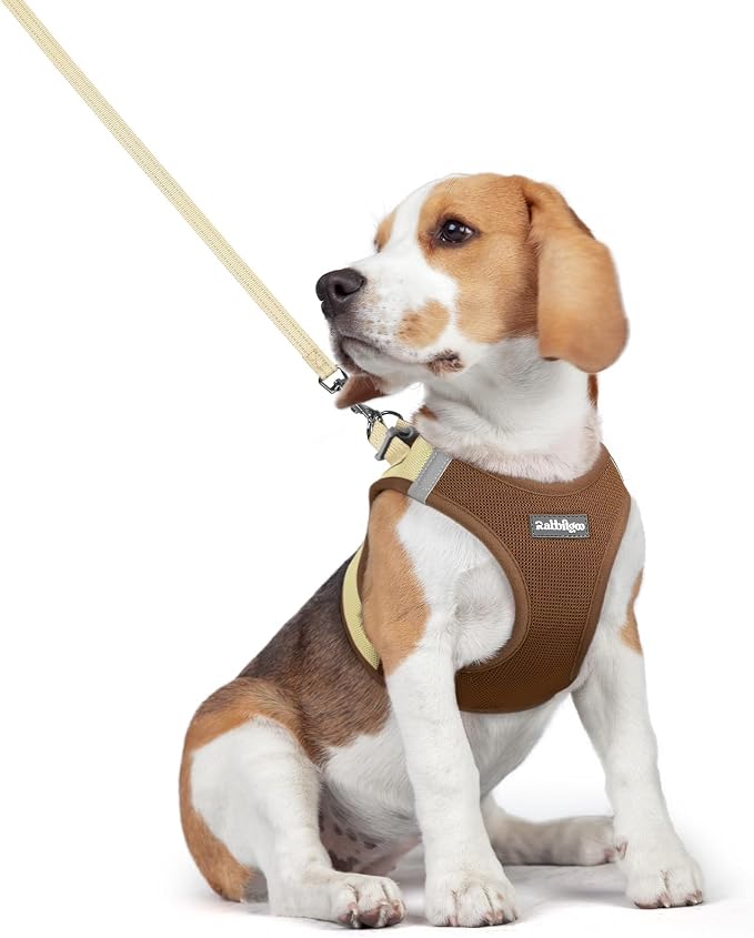 rabbitgoo Dog Harness Medium Sized and Leash Set, Step-in Puppy Pet Vest | Light, Soft, Breathable Air Mesh, Easy on and Remove with Hook & Loop, Secure Reflective for Walking, Brown & Beige L