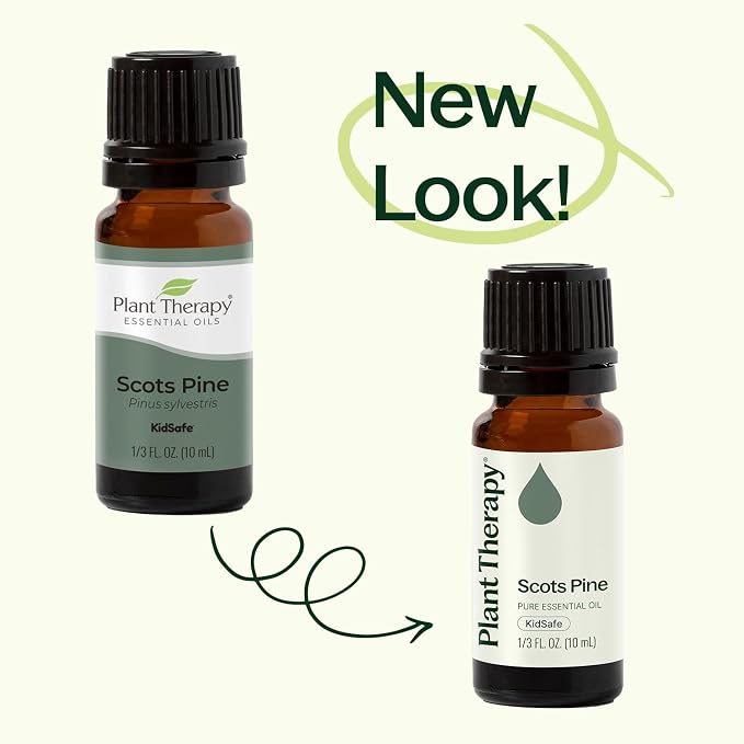 Plant Therapy Scots Pine Essential Oil 30 mL (1 oz) (Pack of 2) 100% Pure, Undiluted, Aromatherapy for Clear Breathing, and Sore Muscle Relief