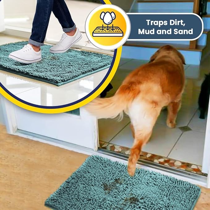 Muddy Mat® | Super Water Absorbent Door Mat Indoor, Microfiber Quick Dry Chenille Entryway Rug,Slip Resistant Front Door Mat,Indoor Mats for Entryway,Machine Washable Pet Rug, Seafoam Green 48"x60"