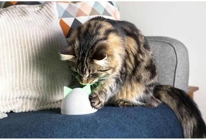 Sure Petcare Hub