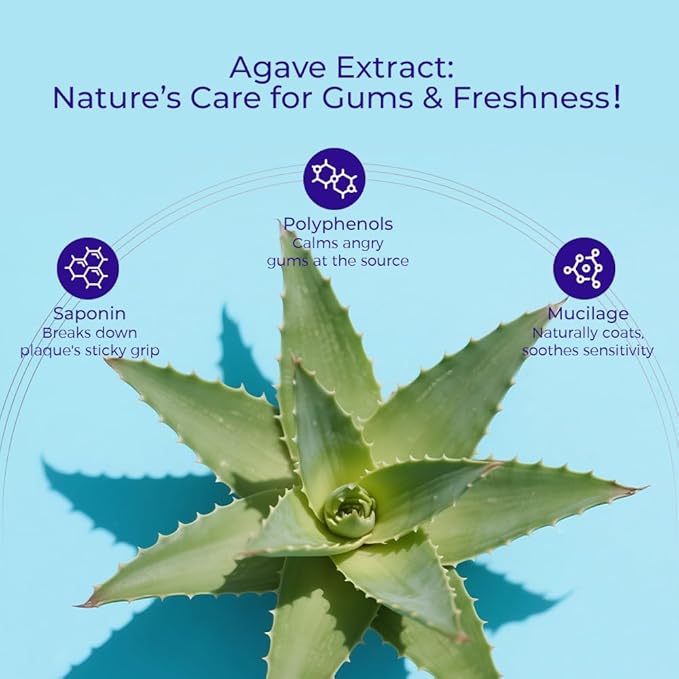 OCCOTAPS Agave Sensitive Toothpaste, Fluoride-Free Natural Whitening Toothpaste for Sensitive Teeth, Gentle Gum Care, Helps Remove Stains, Fresh Mint Herbal Formula, 2 Pk US Manufactured