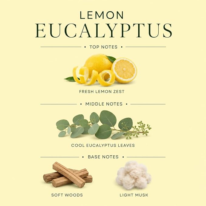Affinati Lemon Eucalyptus 10 oz Scented Candle – Long Lasting Luxury Soy Blend Candle, Strong Scent Throw Vibrant Citrus Herbal Aromatherapy Candles for Home, Premium Room Odor Eliminator