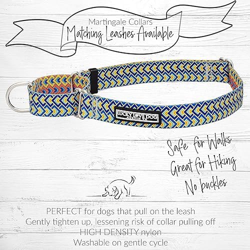 Lucky Love Dog Martingale Collar & Leash Set No Slip Cute – Murphy, Large